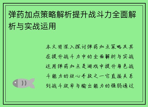 弹药加点策略解析提升战斗力全面解析与实战运用